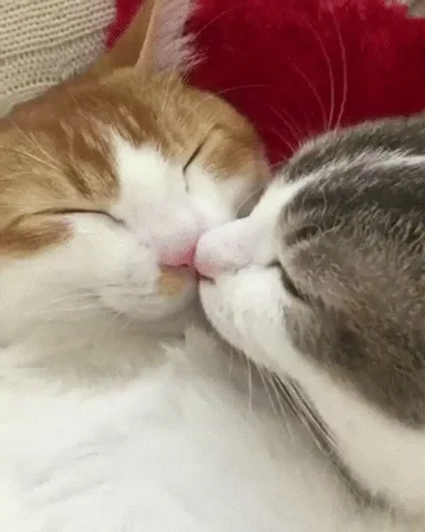 mwaahhh